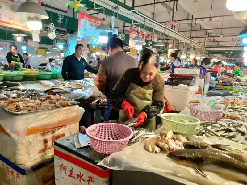 海口百货批发：市场动态与趋势